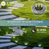 16 Pack PATIOWIN Small Solar Ground Lights, Pathway Lights Waterproof, Outdoor Solar Light for Garden, Driveway