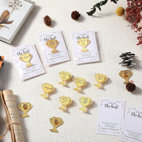 Juinte 60 Sets (10 Employee Appreciation Gifts Bulk Trophy Pins with Thank You Cards Organza Bags Inspirational