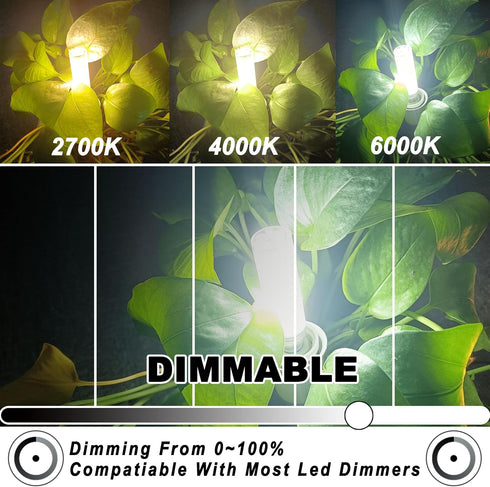E11 Led Bulbs 120V 100W Halogen Candelabra Bulbs Equiva Dimmable,T3 T4 Mini Base JDE11 Bulb,6000K Daylight Cool White 10W 1000LM E11 for Chandeliers,Candelabra,Ceiling Fan ,Cabinet Lighting,5Pack by ALIDE