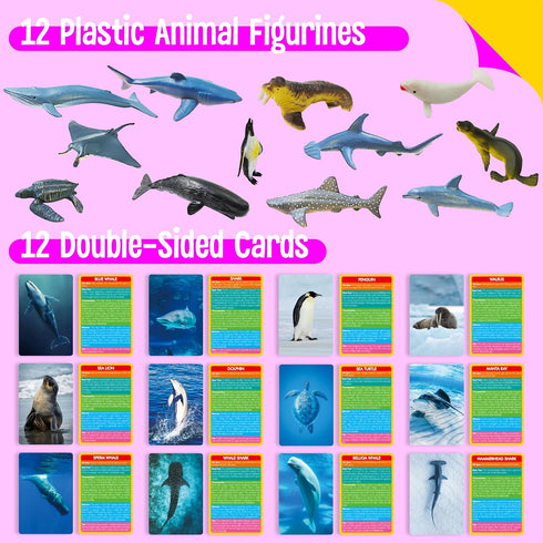 12 12 Set PCS Plastic Marine Animal Figurines with Introduction Flashcards, Ocean Animals Learning Recognition Cards