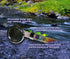 7 Chakra Crystal Shower Head. Natural Gemstones. Healing Crystals. Water Purification. Mineral. Ph Balance. Healing