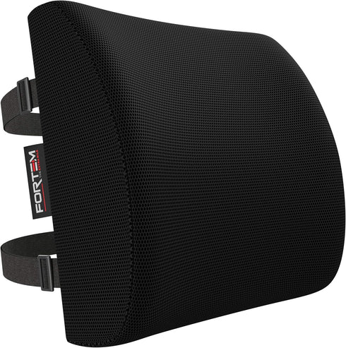 FORTEM Lumbar Support Pillow for Office Chair, Lumbar Support Pillow for Car,