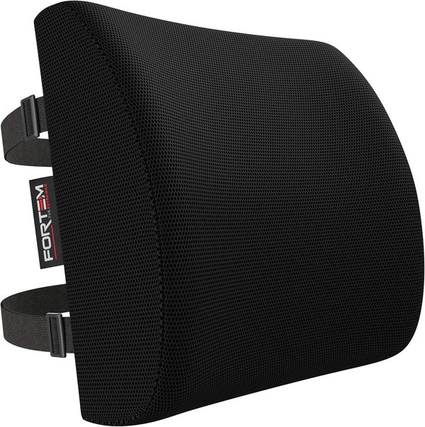 FORTEM Lumbar Support Pillow for Office Chair, Lumbar Support Pillow for Car,