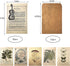 MUMULULU Set Vintage Style Postcard and Envelope Floral Retro Plant Butterfly Vintage Memories Letter Plant Music