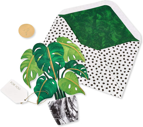 Papyrus Pop Up Card (Plant) Blank