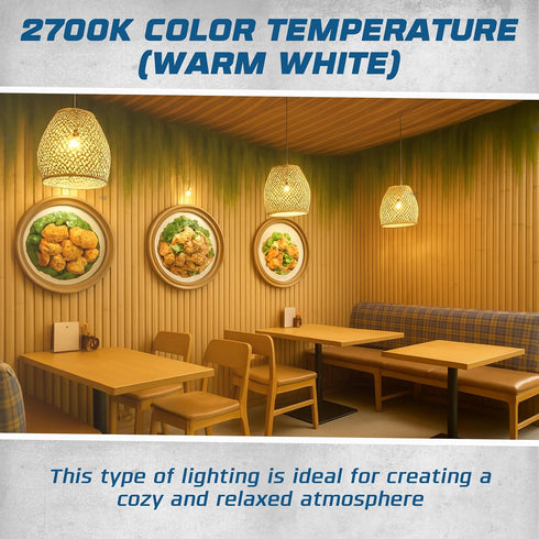 A21 Bulb 100W E26 1025 2700K Bulb Pack 2 OHLECTRIC Half Chrome Light with Base and Lumens of Brightness | Warm White