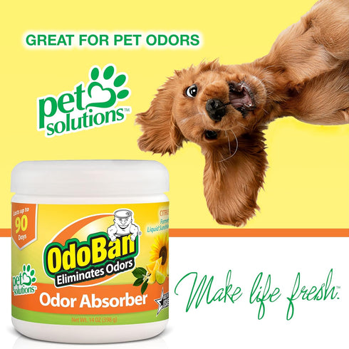 OdoBan Solid Odor Absorber Eliminator for Home, Citrus Scent, 14 Ounces Each, 6-Pack Yellow