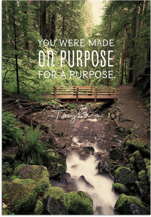 DaySpring - Tony Evans - You Were Made for a Purpose, 12 Birthday Boxed Cards & Envelopes, 4 Design Assortment with