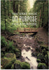 DaySpring - Tony Evans - You Were Made for a Purpose, 12 Birthday Boxed Cards & Envelopes, 4 Design Assortment with