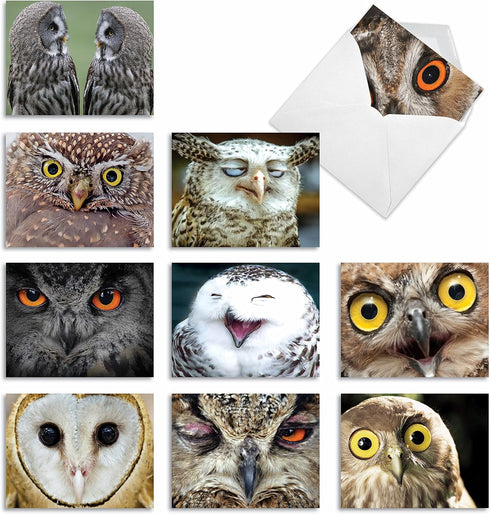 The Best Card Company 10 Bird Note Cards Blank (4 x 5.12 Inch) with Envelopes, Boxed Set
