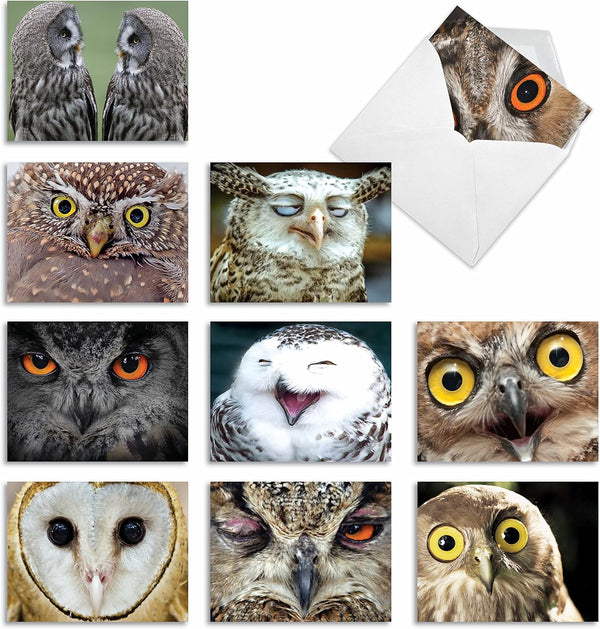 The Best Card Company 10 Bird Note Cards Blank (4 x 5.12 Inch) with Envelopes, Boxed Set