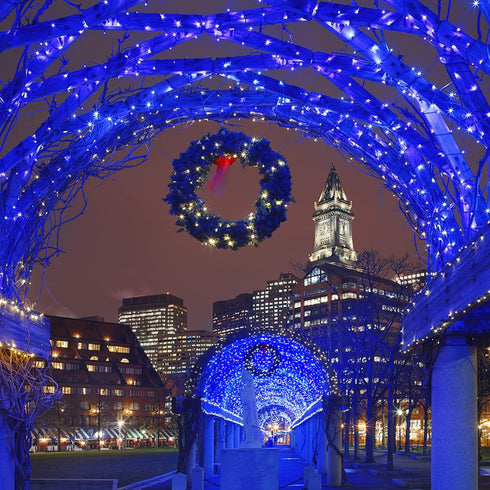 66ft 200 8 HOME LIGHTING Christmas Decorative Mini Lights, LED Green Wire Fairy Starry String Lights Plug in, Lighting