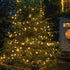 Dazzle Bright C6 Battery Operated Christmas Lights, 2 Pack Total 100LED 34FT Warm White Indoor Outdoor Decor