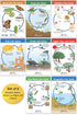 NewPath Learning Life Cycles Bulletin Board Charts, Set/8, Laminated, 12" x 18" (94-1504)