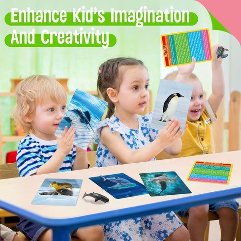 12 12 Set PCS Plastic Marine Animal Figurines with Introduction Flashcards, Ocean Animals Learning Recognition Cards