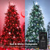 66FT 200 Dimmable Brizled Smart Red Valentines Lights, LED Color Changing Christmas String Lights App & Voice Control