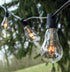 (PS50 10 Hometown Evolution, Inc. Vintage Edison Outdoor String Lights Clear - Black Wire, ft)