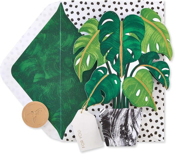 Papyrus Pop Up Card (Plant) Blank