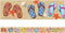 Flip Flops Straight Border Trim by Teacher Created Resources (5648)