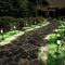 SOLPEX 16 Pack Solar Outdoor Lights Pathway, Stainless Steel Solar Lights Outdoor
