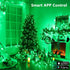 66FT 200 Dimmable Brizled Smart Red Valentine String Lights/Green St. Patrick's Day Lights, LED Color Changing