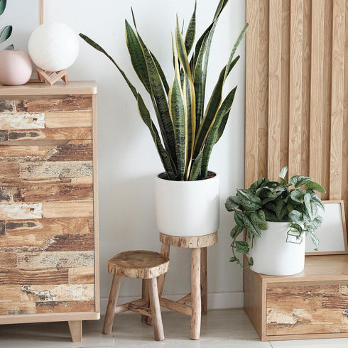 (24" 78", Very Berry Sticker Wood Panel Peel and Stick Wallpaper x Light Texture, Dark Wood) Waterproof and Easy