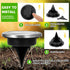 16 Pack PATIOWIN Mini Solar Ground Lights, Solar Powered Pathway Lights, Waterproof Outdoor Light for Garden, Driveway