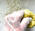 Set Orange Peel & Knockdown Texture Sponge