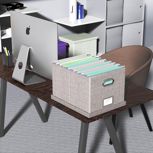 Oterri File Organizer Box, Filing Box with Lid, Portable Hanging File Box for Letter/Legal Storage, Gray