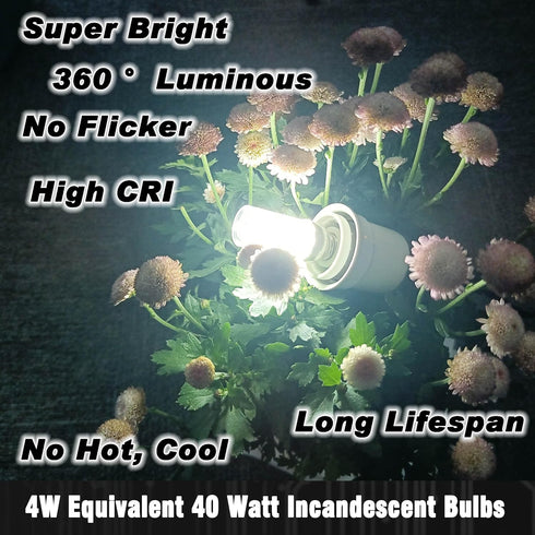 12V 40W E12 LED Candelabra Light Bulbs 4W Daylight White 6000K 450Lm Low Voltage AC12-24V/DC10-30V for RV Camper Marine
