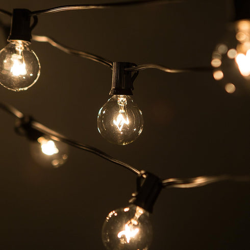 10 G40 Bulbs Hometown Evolution, Inc. Globe String Lights with Clear and Black Wire for Patio, Awning, Canopy, Porch