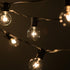 10 G40 Bulbs Hometown Evolution, Inc. Globe String Lights with Clear and Black Wire for Patio, Awning, Canopy, Porch