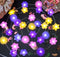 Flower Lights Cute Fairy String Lights Floral Room Decor Night Lights USB