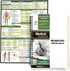Neurology H&P Notebook, Medical History and Physical Notebook, 100 Medical Templates with Perforations