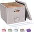 Oterri File Organizer Box, Filing Box with Lid, Portable Hanging File Box for Letter/Legal Storage, Gray