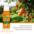 OdoBan Aroma Eliminator Set - 10 Ounce Toilet Spray, 360-Degree Continuous Spray Natural Oil Real Citrus Orange Air
