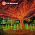 200 LED Halloween Lights, 66ft Orange String Lights, 8 Modes, Plug-in Waterproof for Christmas Halloween Decorations