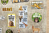 Teacher Created Resources Go Wild Animals Mini Bulletin Board