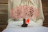 Valentines Day Cards - Pop Up Anniversary Card for Wife, 3D Wedding Birthday Card, Cherry Blossom Swing
