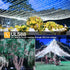 800LED 262FT, 8 Dimmable Ollny Christmas Lights Outdoor Cool White Plug in Fairy Light with Remote, Modes Waterproof