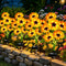 VOOKRY Solar Lights Outdoor, 4 Pack with 24 Sunflower Lights, Waterproof Solar