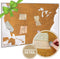 Maps International Scratch Off Map of the United States, USA Wall Map - Detailed Cartography - National Parks