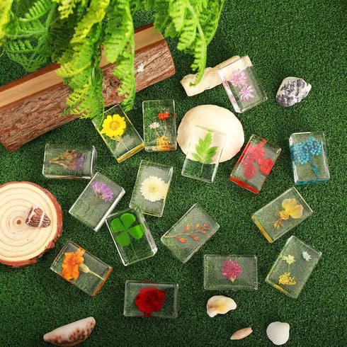 ABURRORI 16 Paperweights16 Pcs Flower Insect in Resin Specimen Bugs Collection Styles Real Flower Specimen Bug Kit