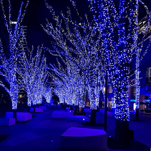 264Ft 800 8 Extra Long LED Christmas Lights with Timer, Green Wire Fairy Starry String Lights Plug in, Modes