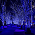 264Ft 800 8 Extra Long LED Christmas Lights with Timer, Green Wire Fairy Starry String Lights Plug in, Modes