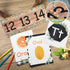 Yeaqee 55 Pieces Eucalyptus Bulletin Board Set, Farmhouse Greenery Alphabet and Number Cards for Classroom Wall Decor