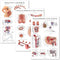 Palace Learning 3 Pack - Female Reproductive System Anatomical Poster + Male