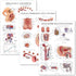 Palace Learning 3 Pack - Female Reproductive System Anatomical Poster + Male
