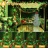 400LED 132FT, 8 Ollny Christmas Lights Remote Plug-in Red & Green Tree Lights with Timer and Modes, Waterproof