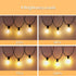 50ft 25 Bulbs Voltage(24V) Dimmable IP65 ST38 SANBEN Outdoor String Lights with Remote, Low Patio Lights, & Timer